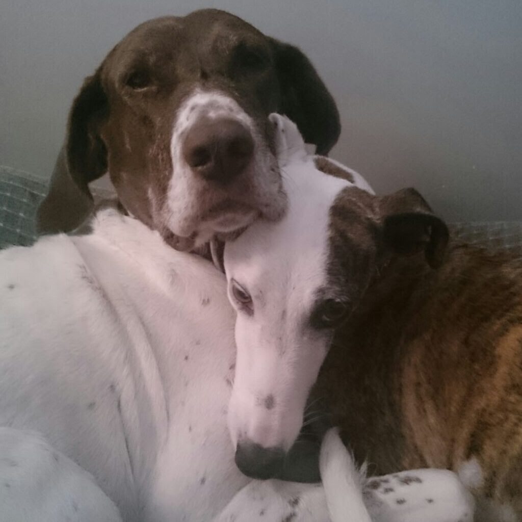 1508679931000e68e6c7cb2f1e6c472db23c20e60f2ebbb0d0223c3a03656e3242f3beb66014147ad118950ee3bc347f7429edc36ab4f5098c601cc4ce94d1b86c091776cdcf5