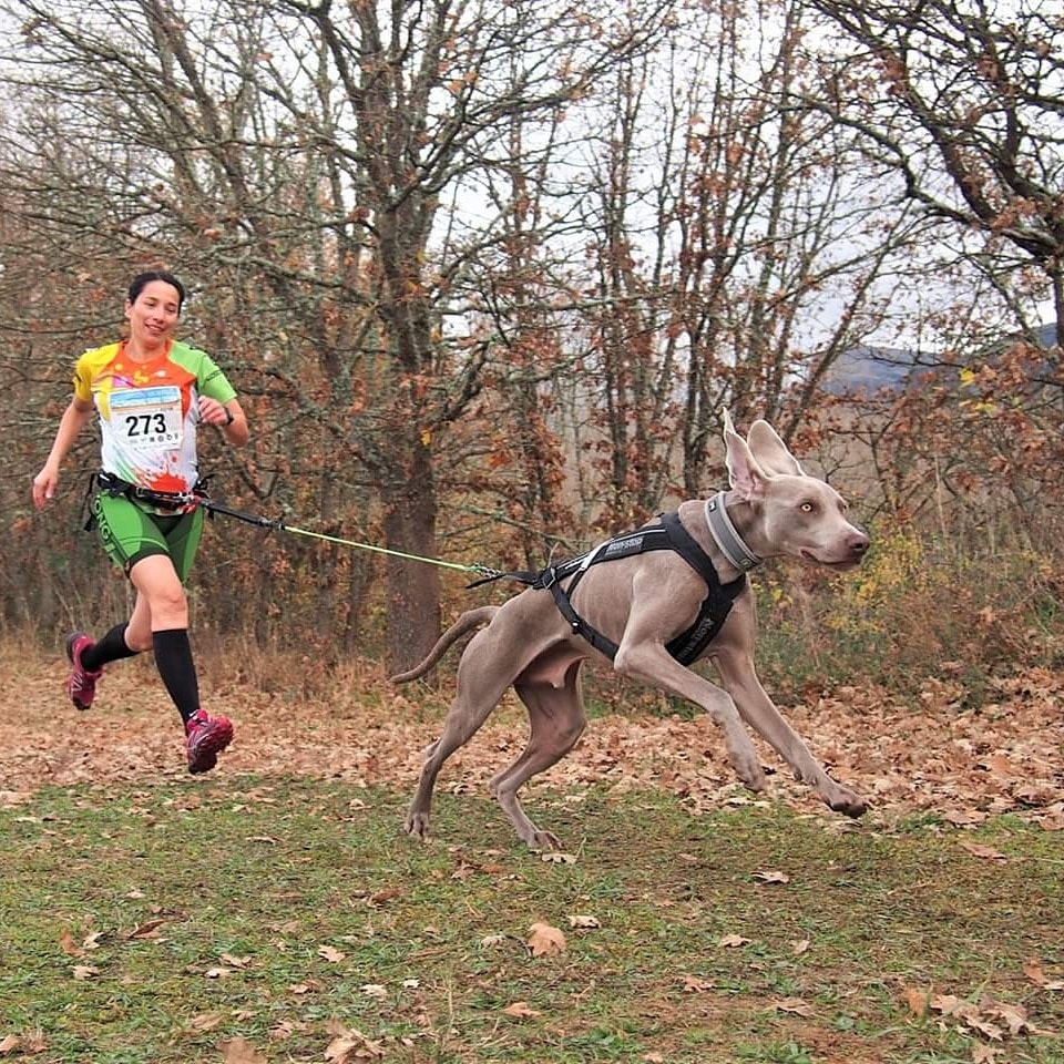 mujer practicando canicross