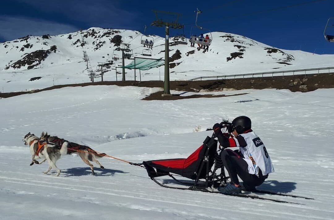 Practica canicross y bikejoring en Madrid