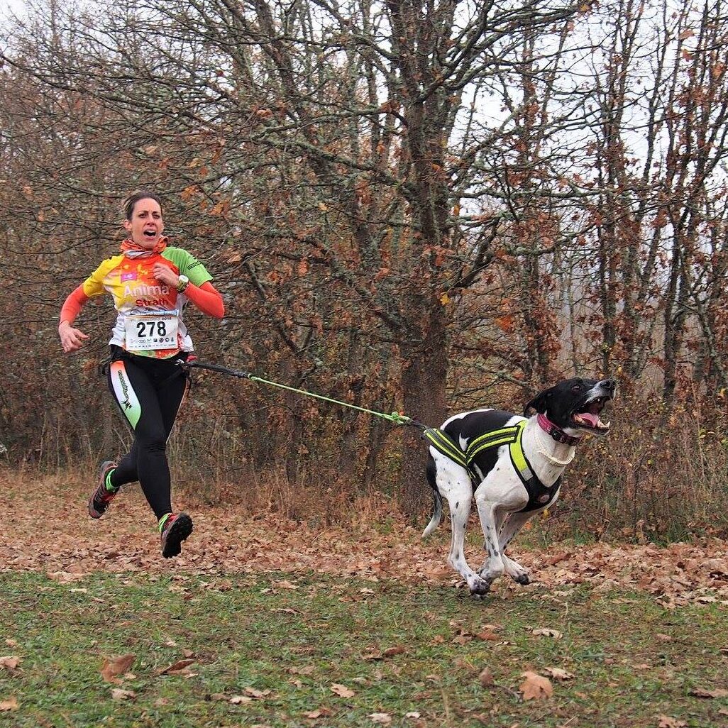 Nua y Laurix las mejores.