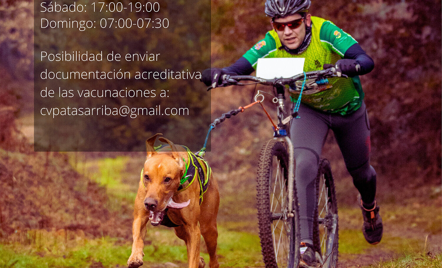 Cartel publicitario del Trofeo mushing miguelturra 2022