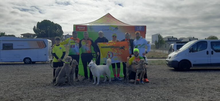 Mushing Serranillos del Valle – Copa Madrid 2025